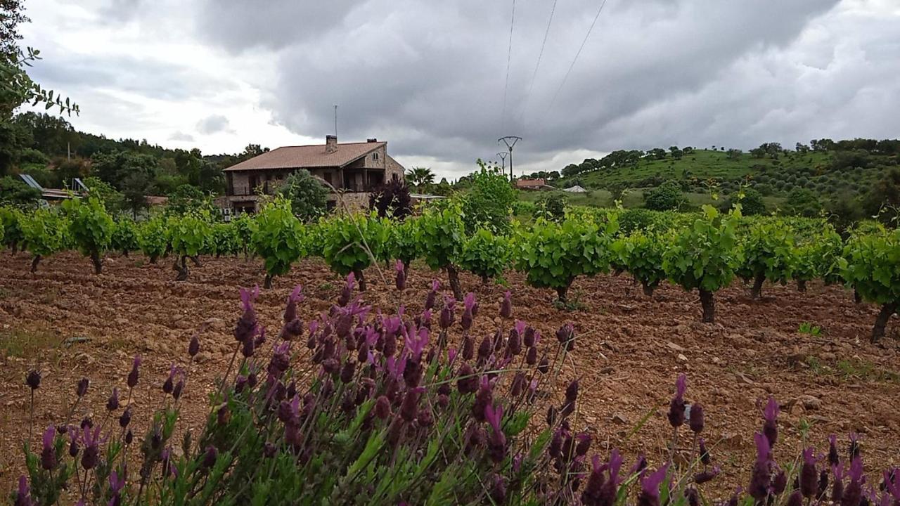 Casa Rural Camino Del Alentejo Villa La Codosera Exterior photo